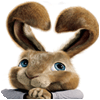 Hop: Easter Bunny Coloring тоглоом