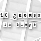 10 Gnomes in Liege тоглоом