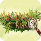Animals At Risk тоглоом