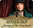 Antique Shop: Journey of the Lost Souls тоглоом