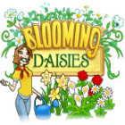 Blooming Daisies тоглоом
