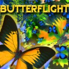Butterflight тоглоом