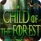 Child of The Forest тоглоом