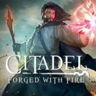 Citadel: Forged with Fire тоглоом