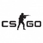 Counter-Strike: Global Offensive тоглоом