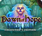 Dawn of Hope: The Frozen Soul Collector's Edition тоглоом