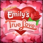 Delicious: Emily's True Love тоглоом