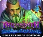 Dreampath: Guardian of the Forest Collector's Edition тоглоом