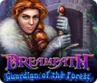 Dreampath: Guardian of the Forest тоглоом