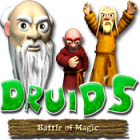 Druid's Battle of Magic тоглоом