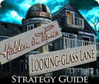 Hidden in Time: Looking-glass Lane Strategy Guide тоглоом