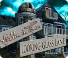 Hidden in Time: Looking-glass Lane тоглоом