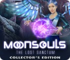 Moonsouls: The Lost Sanctum Collector's Edition тоглоом