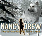 Nancy Drew: The White Wolf of Icicle Creek тоглоом
