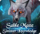 Sable Maze: Sinister Knowledge тоглоом