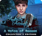 The Andersen Accounts: A Voice of Reason Collector's Edition тоглоом