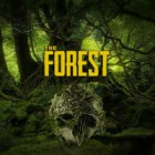 The Forest тоглоом