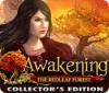 Awakening: The Redleaf Forest Collector's Edition тоглоом