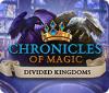 Chronicles of Magic: The Divided Kingdoms тоглоом