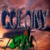 Colony тоглоом
