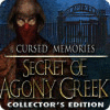 Cursed Memories: The Secret of Agony Creek Collector's Edition тоглоом