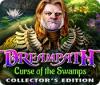 Dreampath: Curse of the Swamps Collector's Edition тоглоом
