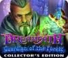 Dreampath: Guardian of the Forest Collector's Edition тоглоом