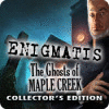 Enigmatis: The Ghosts of Maple Creek Collector's Edition тоглоом