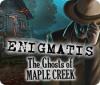Enigmatis: The Ghosts of Maple Creek тоглоом