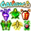 Galapago тоглоом