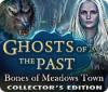 Ghosts of the Past: Bones of Meadows Town Collector's Edition тоглоом