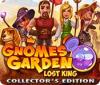 Gnomes Garden: Lost King Collector's Edition тоглоом