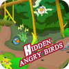 Hidden Angry Birds тоглоом