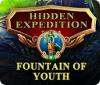 Hidden Expedition: The Fountain of Youth тоглоом
