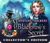 Mystery Trackers: Blackrow's Secret Collector's Edition тоглоом