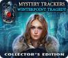 Mystery Trackers: Winterpoint Tragedy Collector's Edition тоглоом