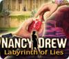 Nancy Drew: Labyrinth of Lies тоглоом