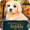 Precious Sophie тоглоом