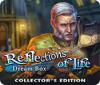 Reflections of Life: Dream Box Collector's Edition тоглоом