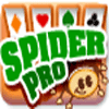 Spider Pro тоглоом