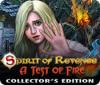 Spirit of Revenge: A Test of Fire Collector's Edition тоглоом