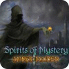 Spirits of Mystery: Amber Maiden Collector's Edition тоглоом