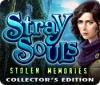 Stray Souls: Stolen Memories Collector's Edition тоглоом