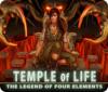 Temple of Life: The Legend of Four Elements тоглоом