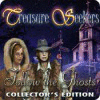 Treasure Seekers: Follow the Ghosts Collector's Edition тоглоом