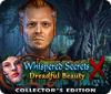 Whispered Secrets: Dreadful Beauty Collector's Edition тоглоом