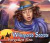 Whispered Secrets: Forgotten Sins тоглоом