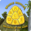 World Riddles: Secrets of the Ages тоглоом